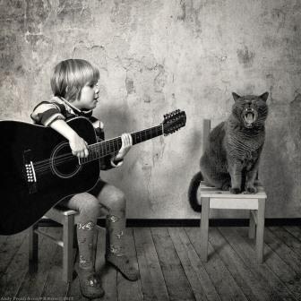 Кот поёт под гитару