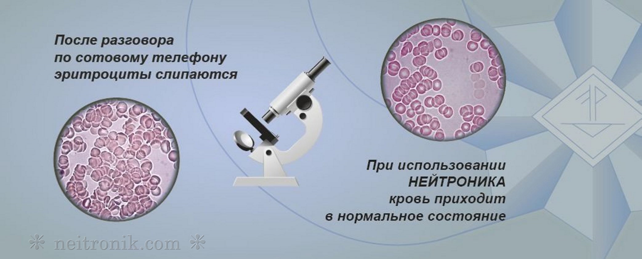 Neitronik restores the reference blood composition